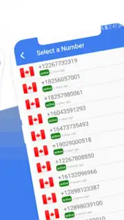 Temp Number - Virtual Number capture 2