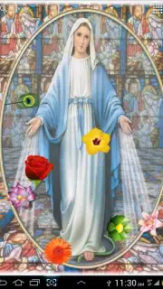 Virgin Mary capture 4