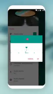 MP3 Recorder capture 14