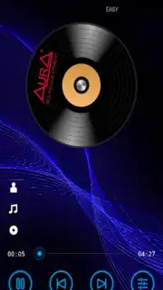 AurA audio capture 5