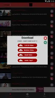 STube Music Downloader capture 4