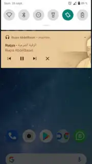 Ruqyah Abdelbaset capture 3