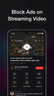 Revanced capture 5