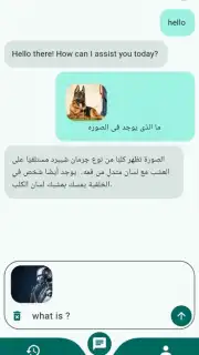 Chat Mate capture 7