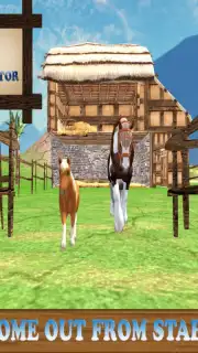 Pony Horse Simulator Kids 3D capture 8