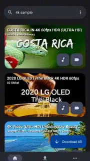 YTDLnis capture 1
