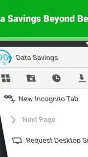Puffin Browser Pro capture 8