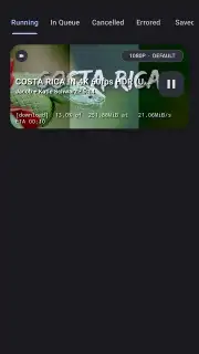 YTDLnis capture 18