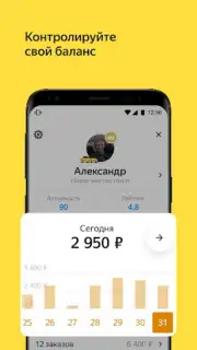 Yandex Pro Beta capture 5