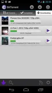 BitTorrent capture 1