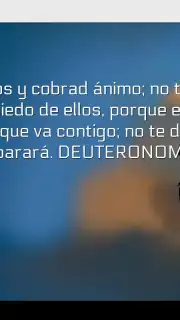Promesas capture 4