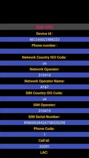 Sim Info capture 1