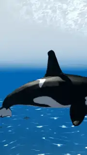 Orca Simulator capture 1