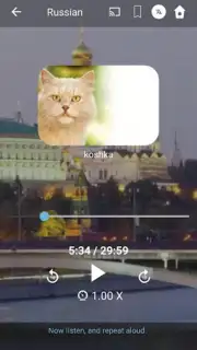 Bluebird Russian capture 5