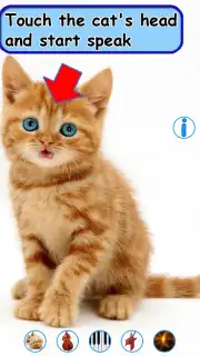 Talking, Dancing Cat. capture 8