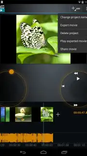 Movie Studio capture 4