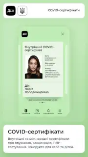 Дія capture 1