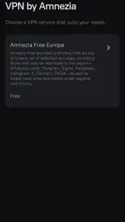 Amnezia VPN capture 14