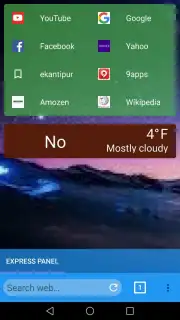 Ae browser capture 9