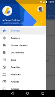 Google AdSense capture 2