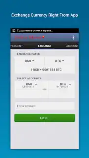 Perfect Money capture 4