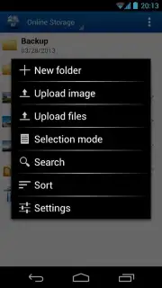 Online Storage capture 2