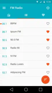 FM Radio capture 2