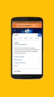 CN Browser capture 2