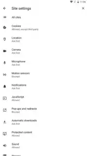 Brave Nightly (devs & testers) capture 3