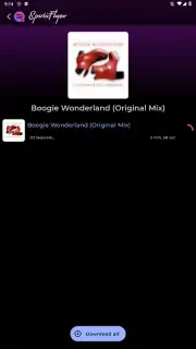 SpotiFlyer capture 5