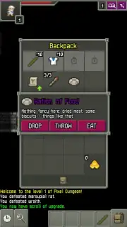 Moonshine Pixel Dungeon capture 3