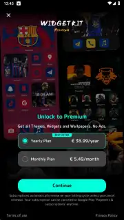 WidgetKit capture 20