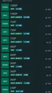 YTDLnis capture 7
