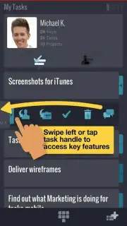 Mindjet Tasks capture 4