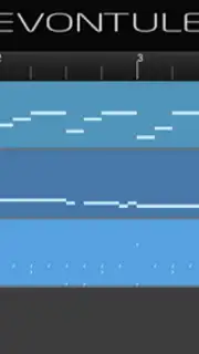 Walk Band capture 3