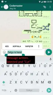 Upside Down Chat+ capture 13