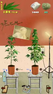 Weed Firm: RePlanted capture 6