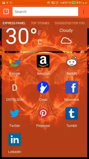 DOTELI BROWSER capture 5
