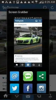 Screen Grabber capture 5