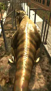 Dino Parking capture 8