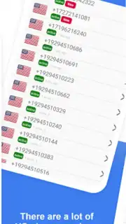 Temp Number - Virtual Number capture 4