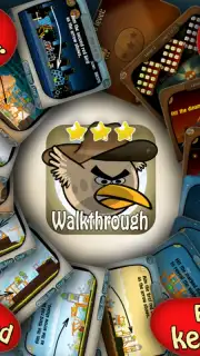 All-In-1 Guide for Angry Birds capture 1