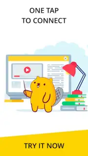 VPN service capture 3