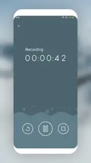 MP3 Recorder capture 6