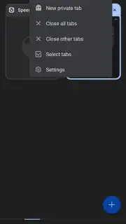 Vivaldi capture 2