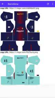 DLS Kits capture 2
