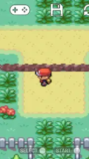 Pokemon Collection capture 1