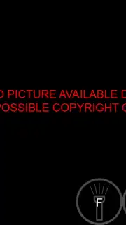 DIII4A capture 1
