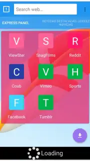 VIP Video downloader capture 1