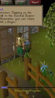 Old School RuneScape capture 1